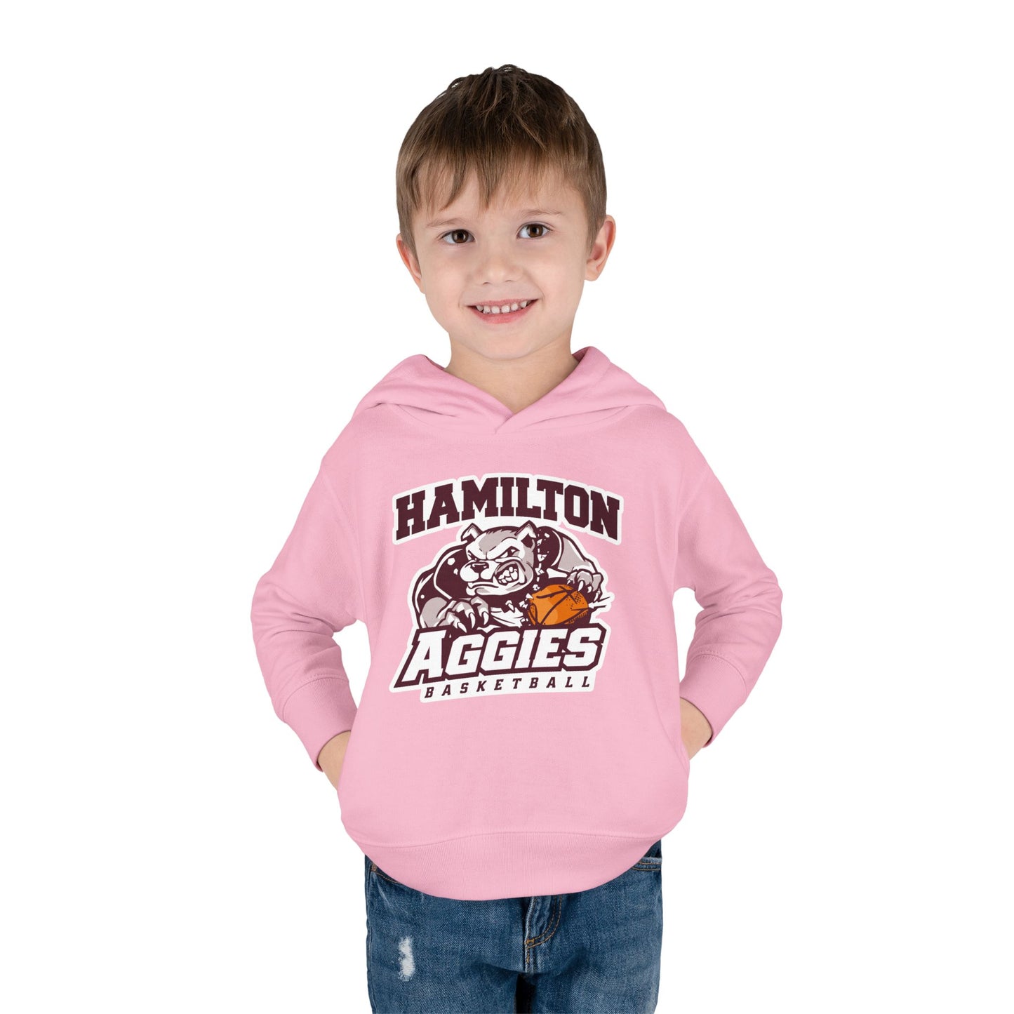 Toddler Hoodie Sweatshirt \ Hamilton Aggies Basketball \ HABB1