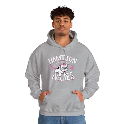 Adult Hoodie Sweatshirt \ Hamilton Aggies \ HAG4