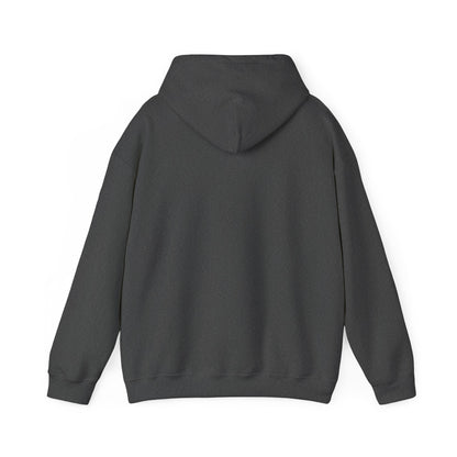 Adult Hoodie Sweatshirt \ Brilliant Tigers \ BT1