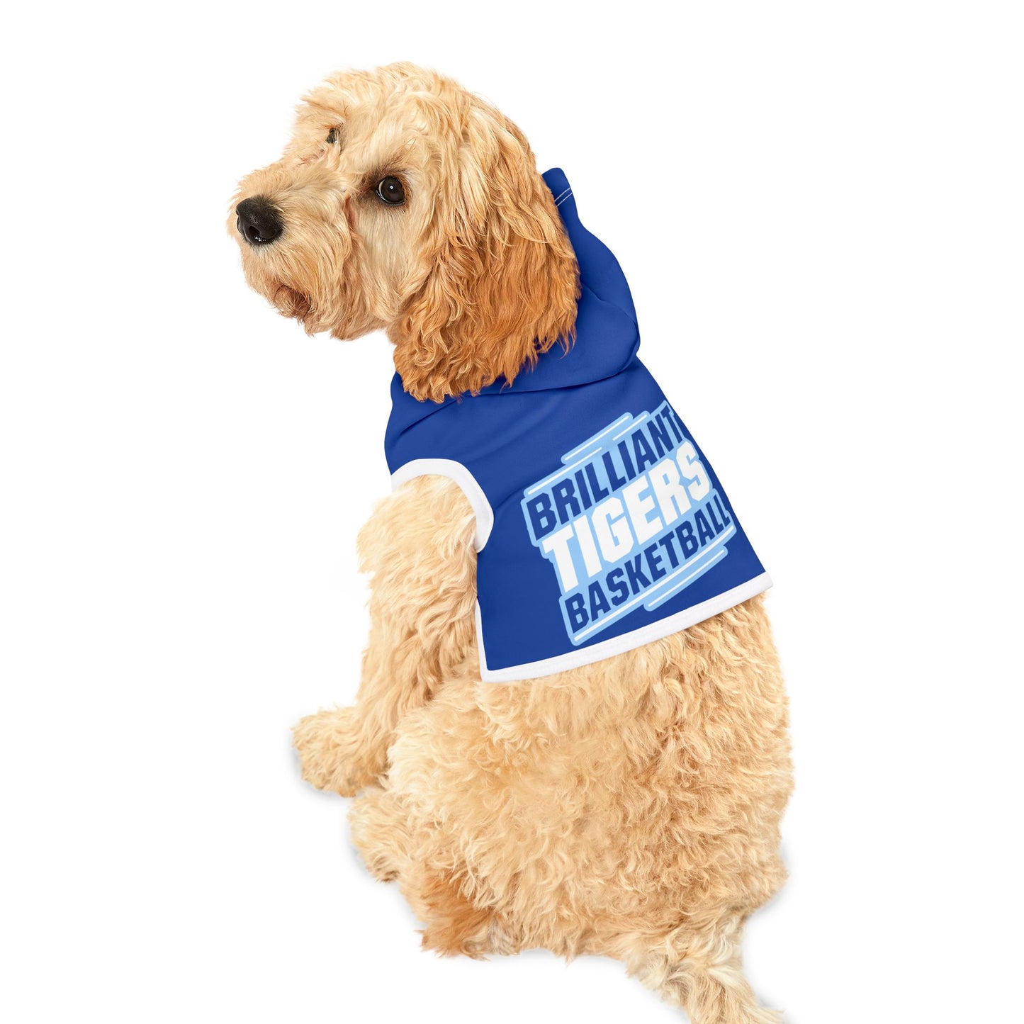 Pet Hoodie \ Brilliant Tigers Basketball \ BTBK2