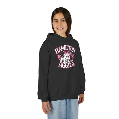 Youth Hooded Sweatshirt \ Hamilton Aggies \ HAG4