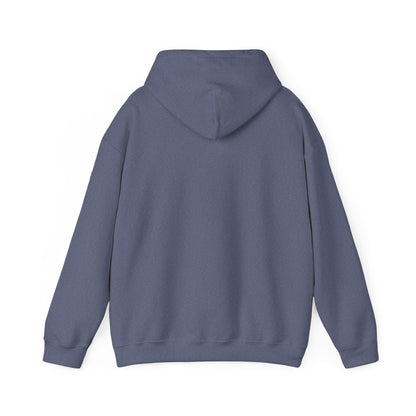 Adult Hoodie Sweatshirt \ Brilliant Tigers Cheer \ BTC2