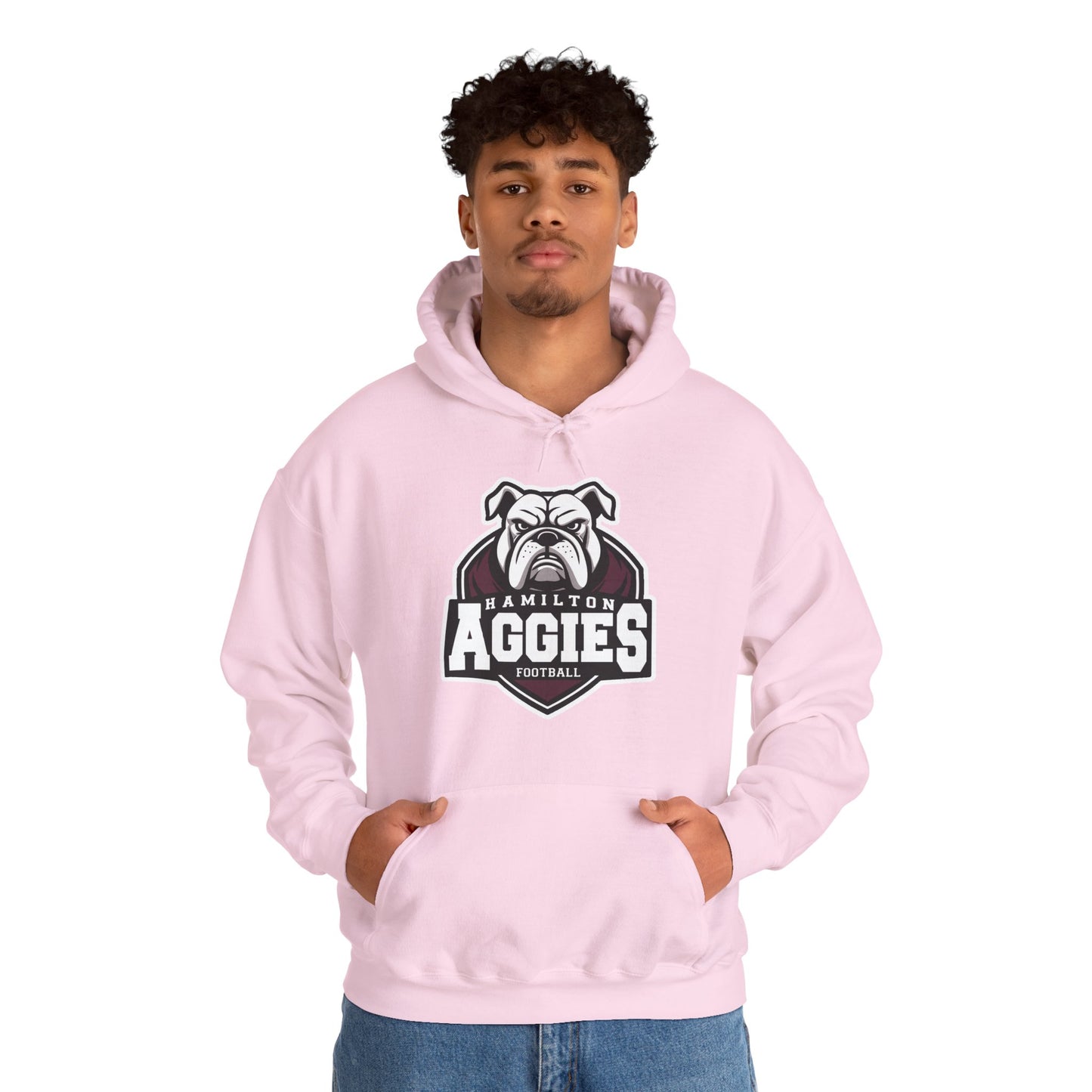Adult Hoodie Sweatshirt \ Hamilton Aggies Football \ HAF2