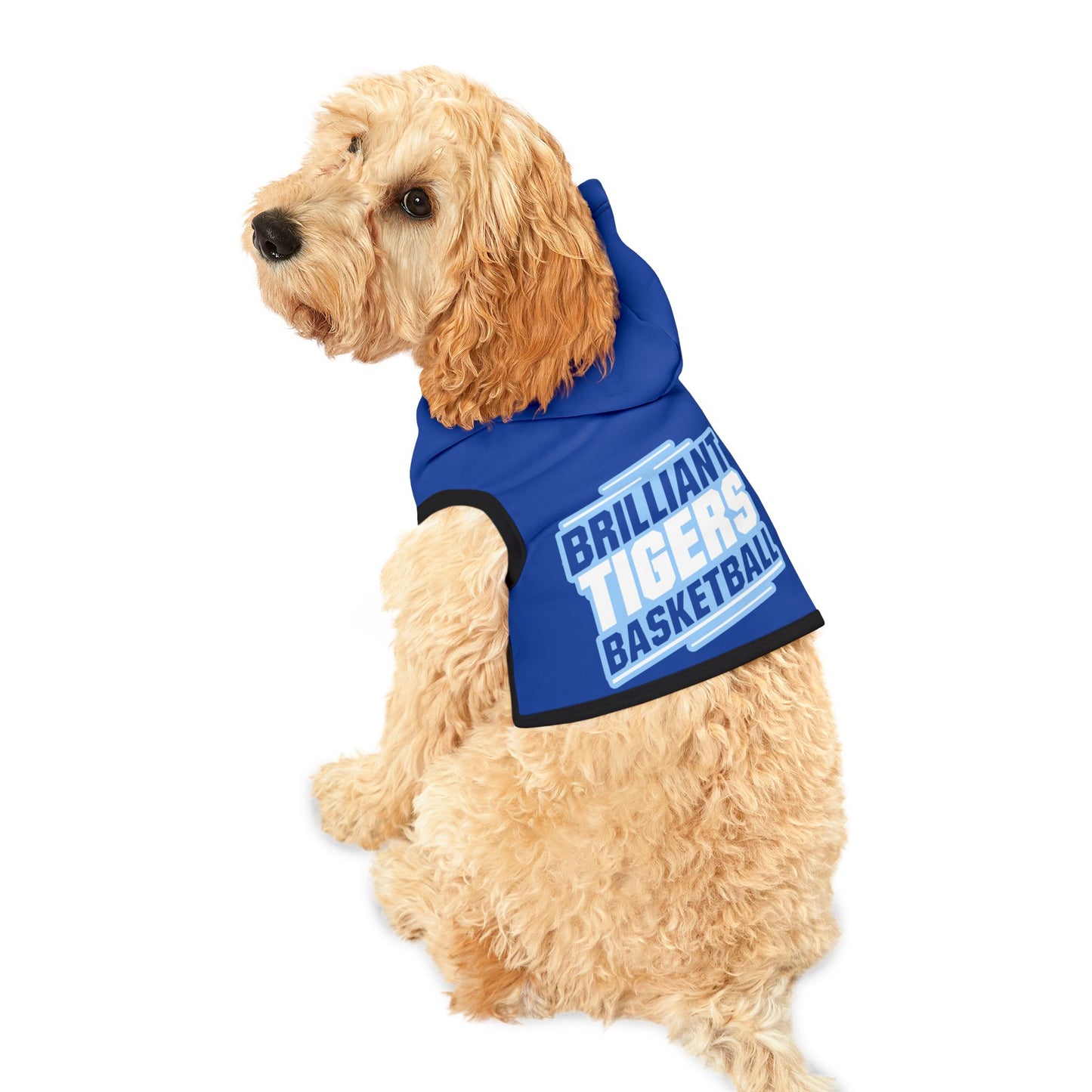 Pet Hoodie \ Brilliant Tigers Basketball \ BTBK2