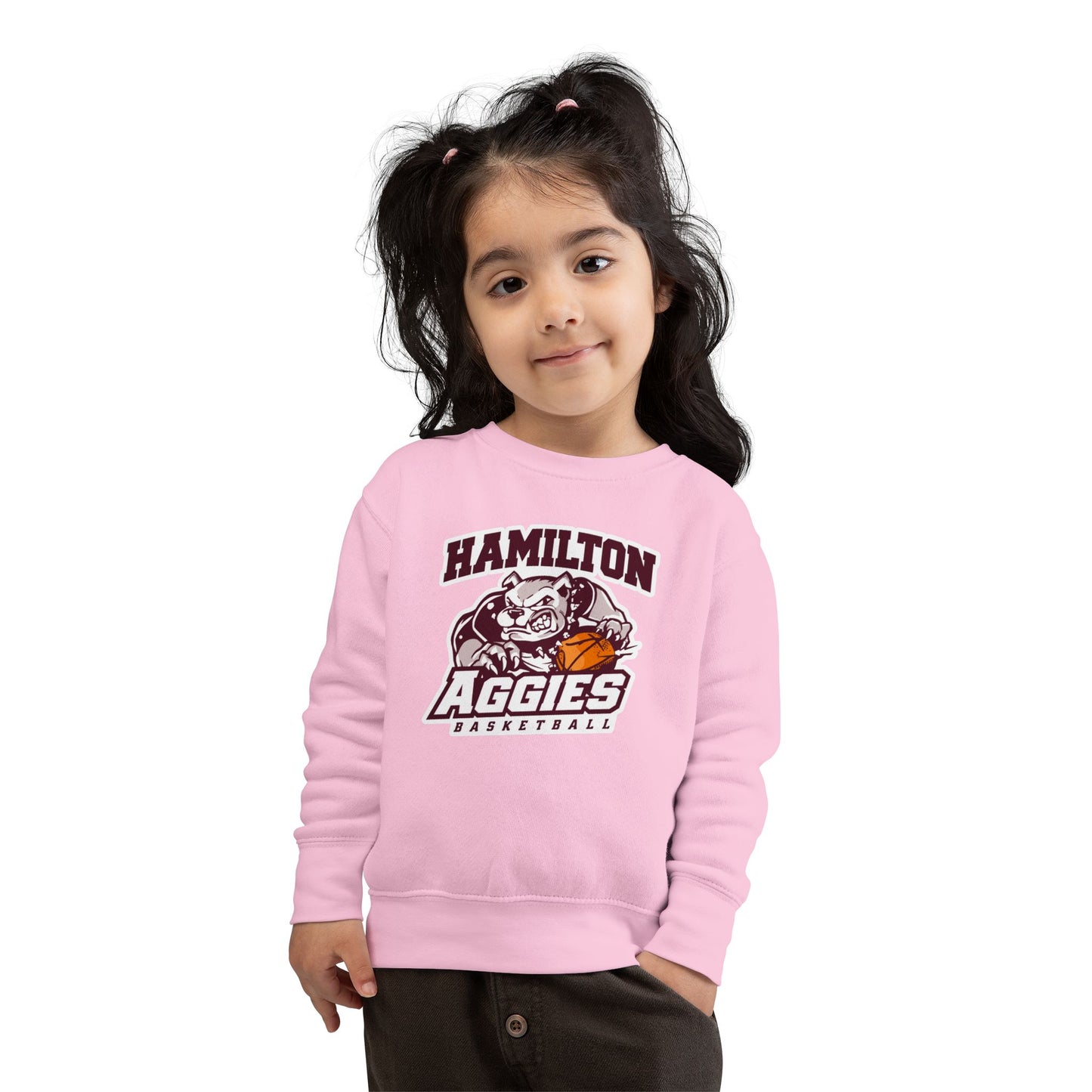 Toddler Crewneck Sweatshirt \ Hamilton Aggies Basketball \ HABB1