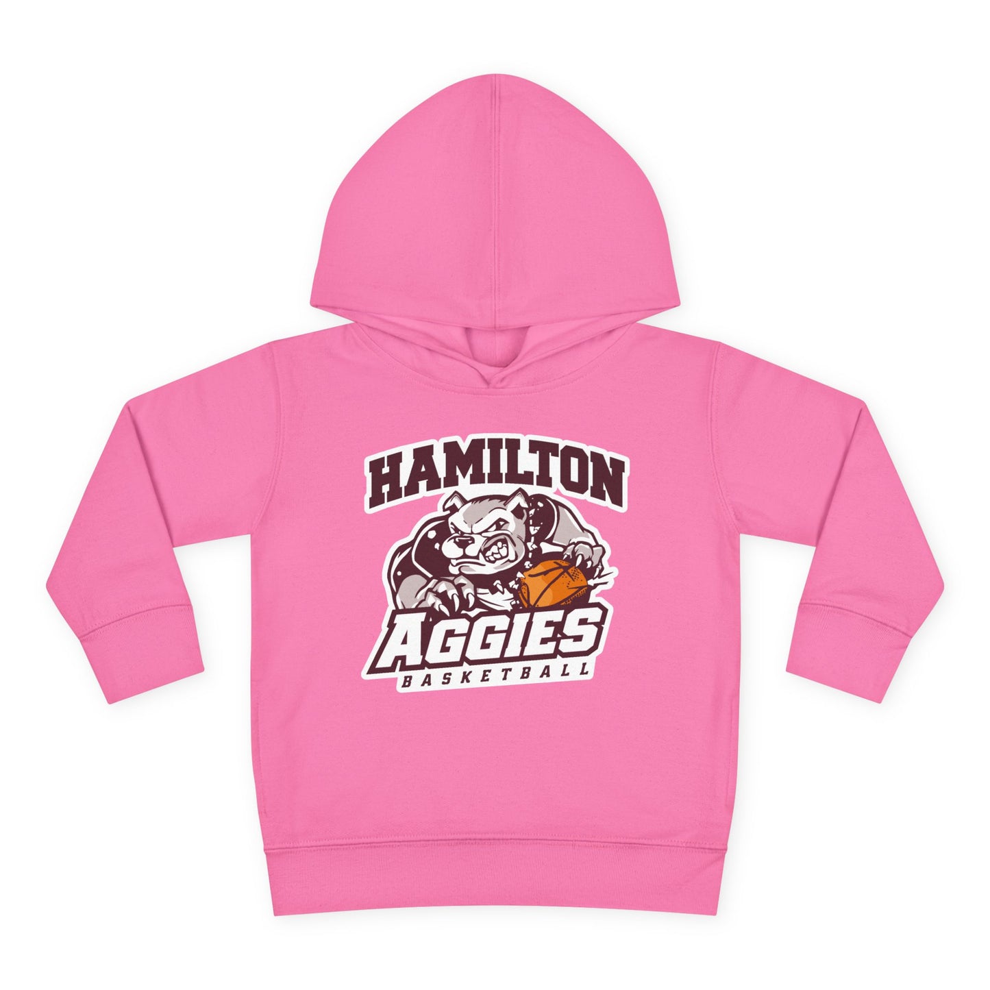 Toddler Hoodie Sweatshirt \ Hamilton Aggies Basketball \ HABB1