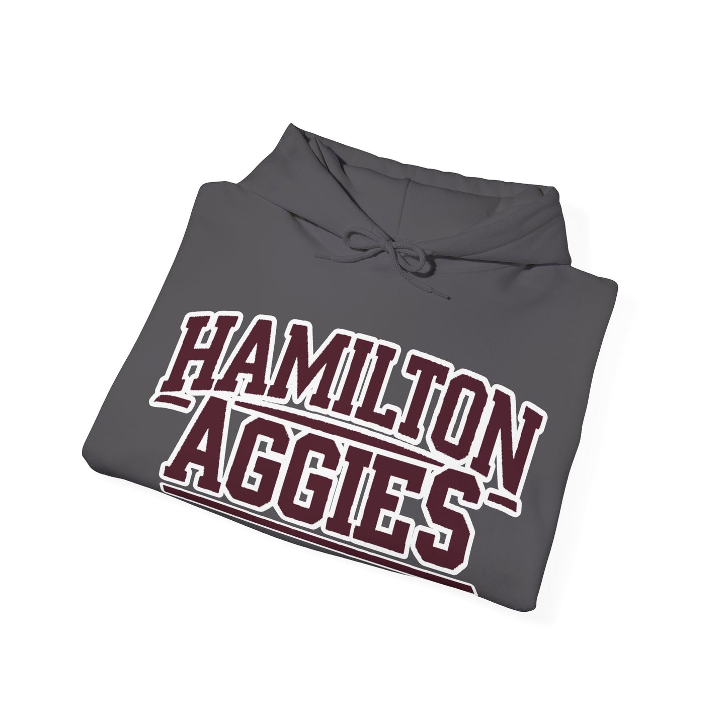 Adult Hoodie Sweatshirt \ Hamilton Aggies \ HA2