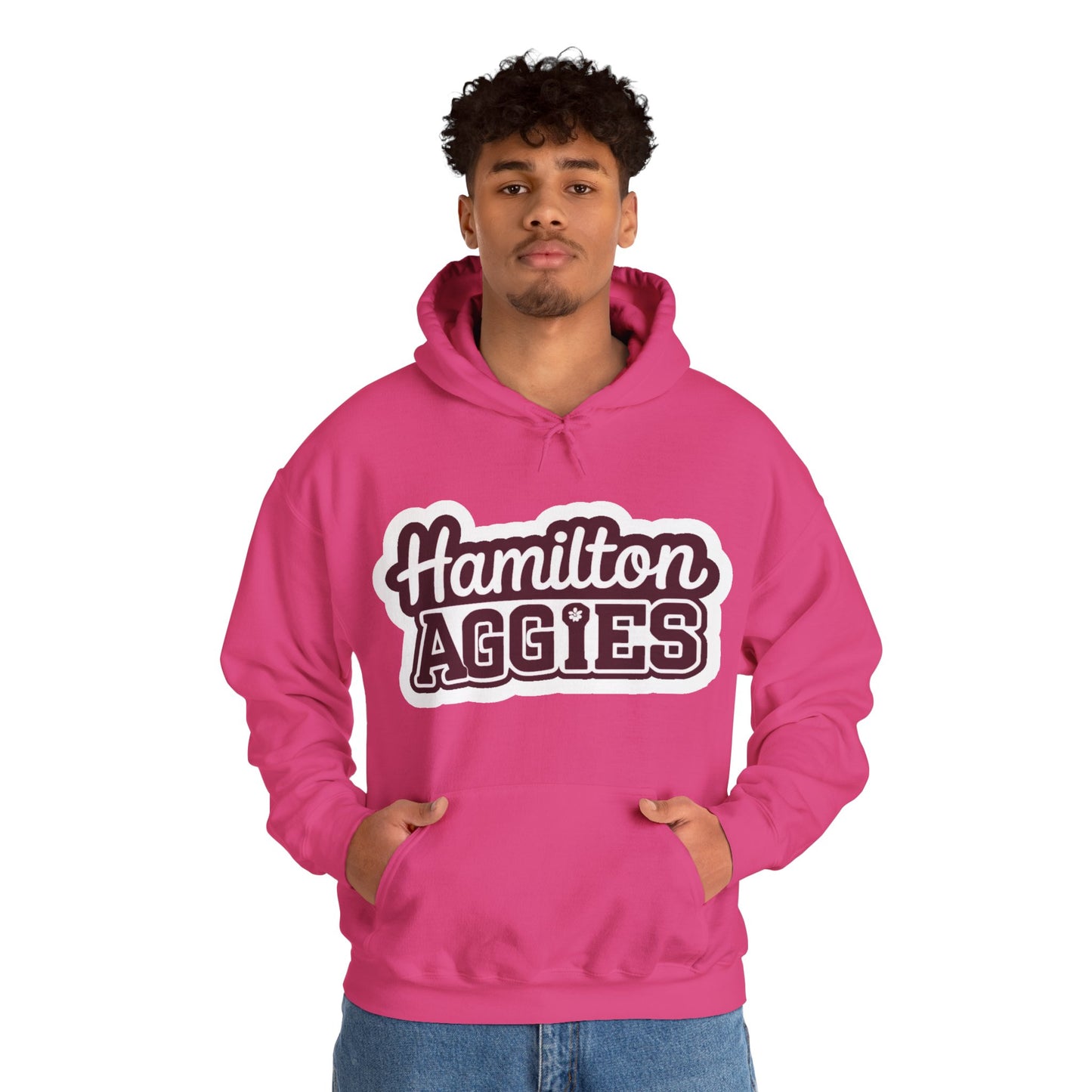 Adult Hoodie Sweatshirt \ Hamilton Aggies \ HAG2