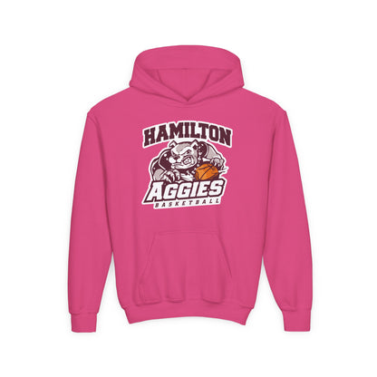 Youth Hoodie Sweatshirt \ Hamilton Aggies Basketball \ HABB1