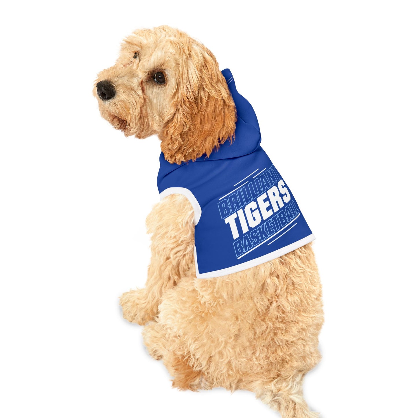 Pet Hoodie \ Brilliant Tigers Basketball \ BTBK2