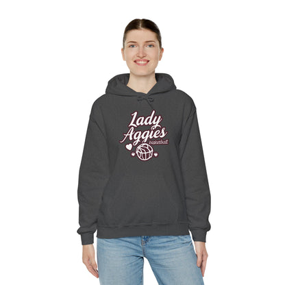 Adult Hoodie Sweatshirt \ Hamilton Aggies Basketball \ HABBG2