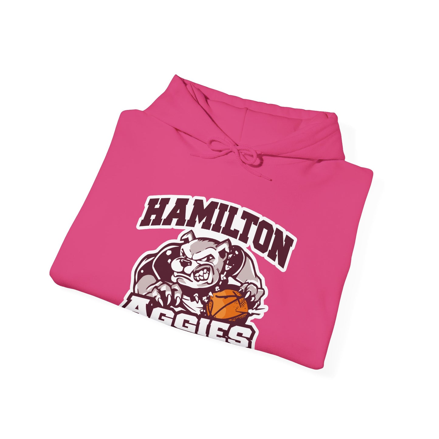 Adult Hoodie Sweatshirt \ Hamilton Aggies Basketball \ HABB1
