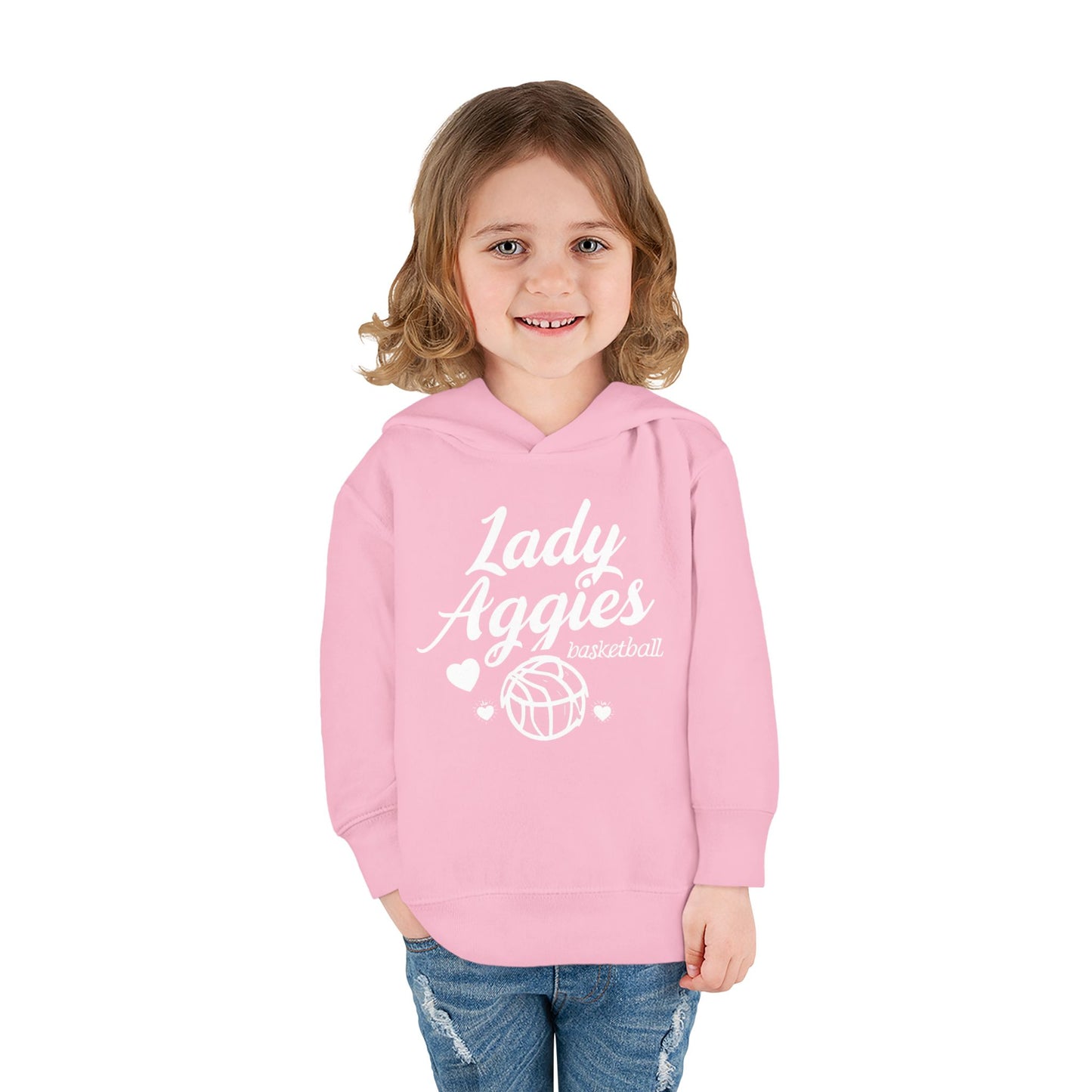 Toddler Hoodie Sweatshirt \ Hamilton Aggies Basketball \ HABBG2