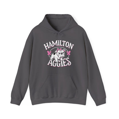 Adult Hoodie Sweatshirt \ Hamilton Aggies \ HAG4