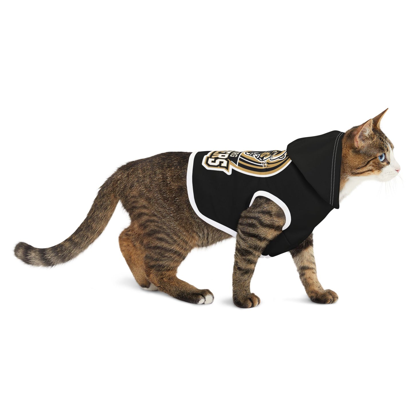 Pet Hoodie \ Hackleburg Panthers \ HP2