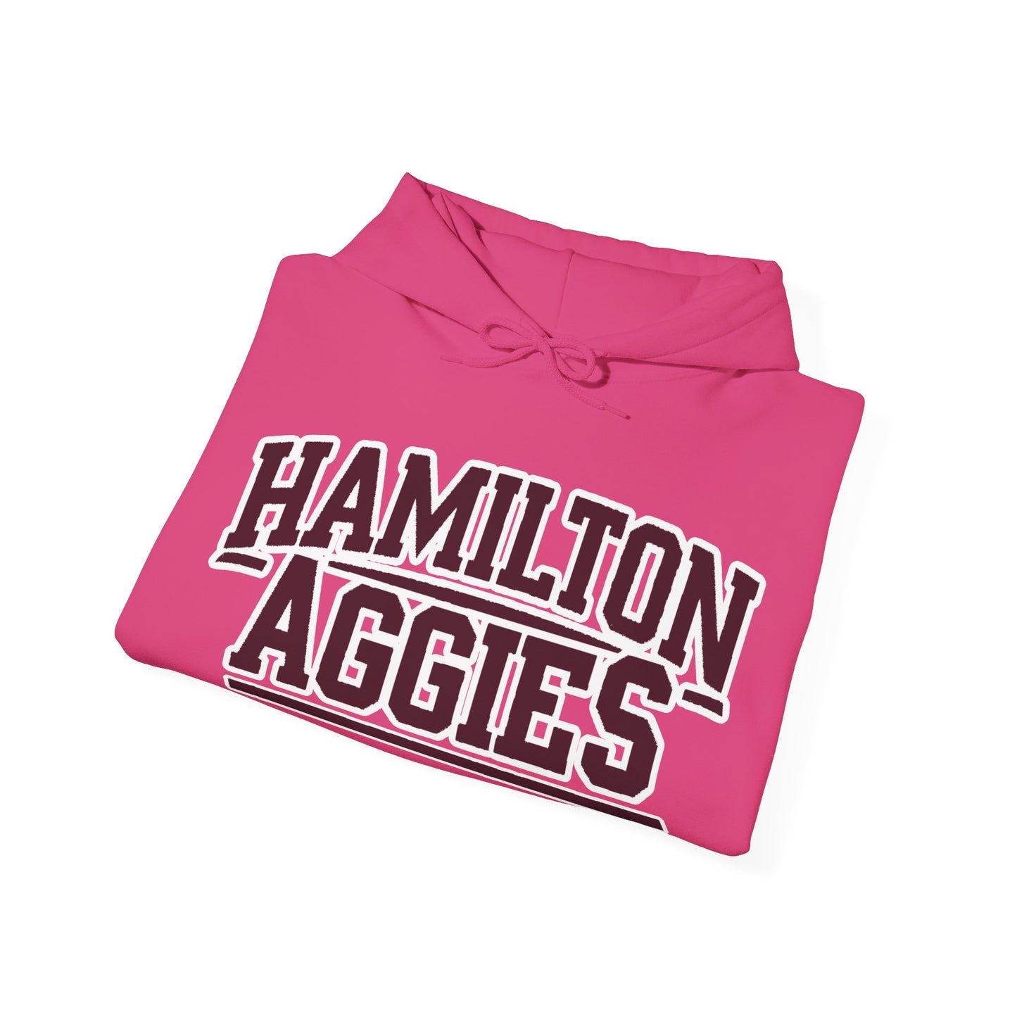 Adult Hoodie Sweatshirt \ Hamilton Aggies \ HA2