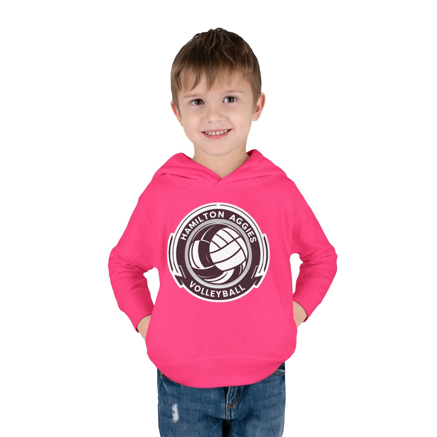 Toddler Hoodie Sweatshirt \ Hamilton Aggies Volleyball \ HAV1