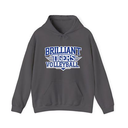 Adult Hoodie Sweatshirt \ Brilliant Tigers Volleyball \ BTV2