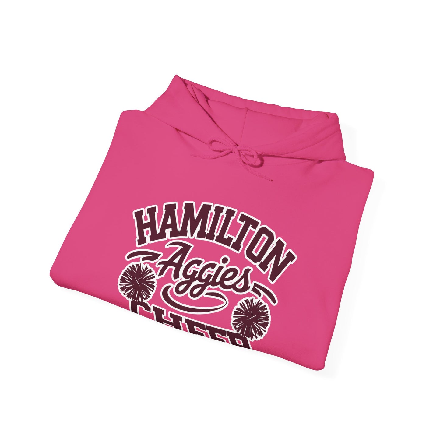 Adult Hoodie Sweatshirt \ Hamilton Aggies Cheer \ HAC2