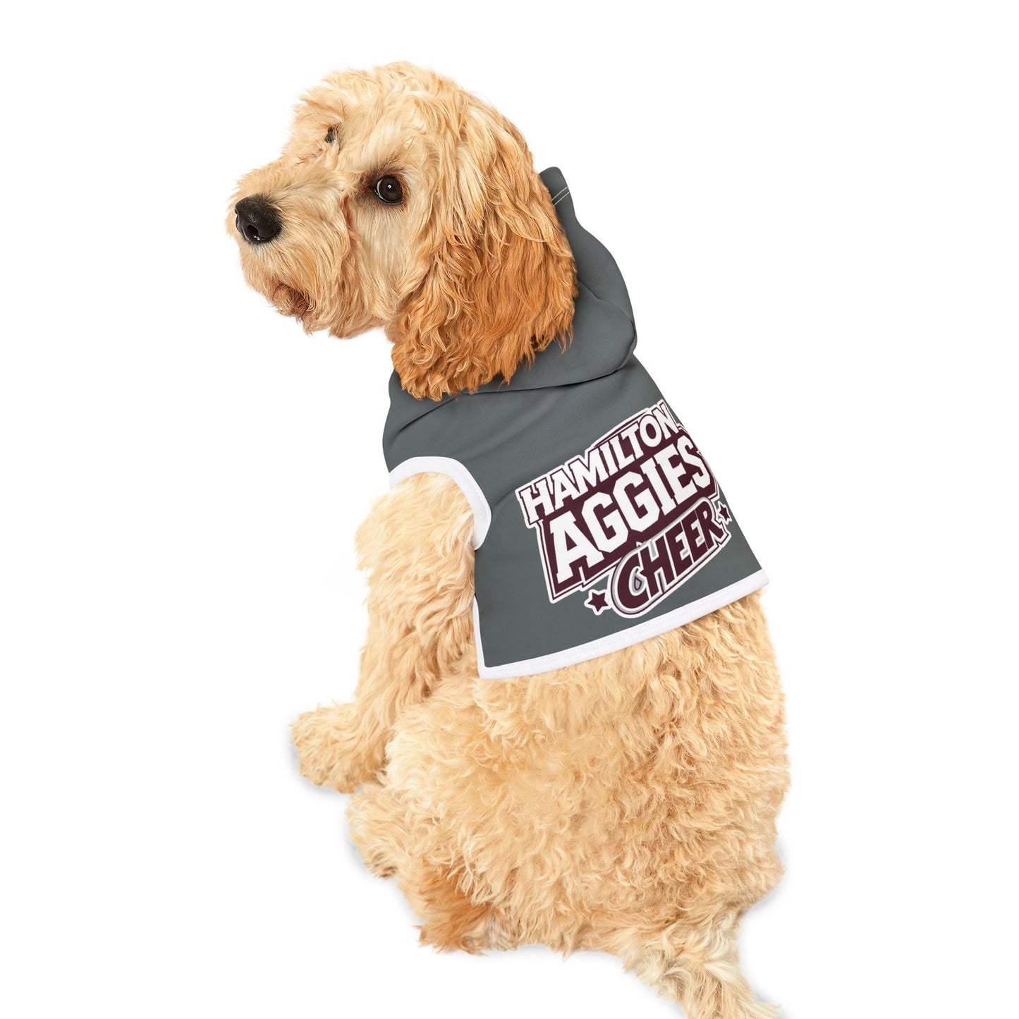 Pet Hoodie \ Hamilton Aggies \ HAC1