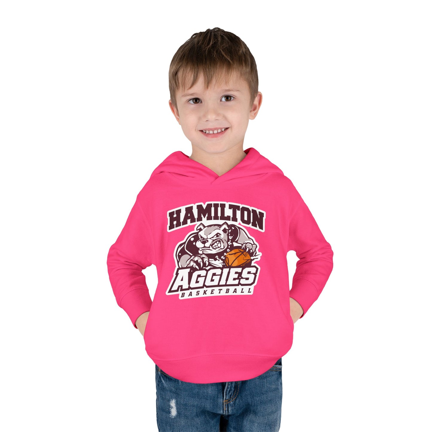 Toddler Hoodie Sweatshirt \ Hamilton Aggies Basketball \ HABB1