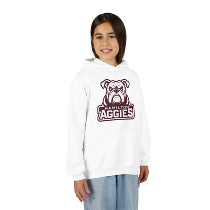 Youth Hoodie Sweatshirt \ Hamilton Aggies \ HA4
