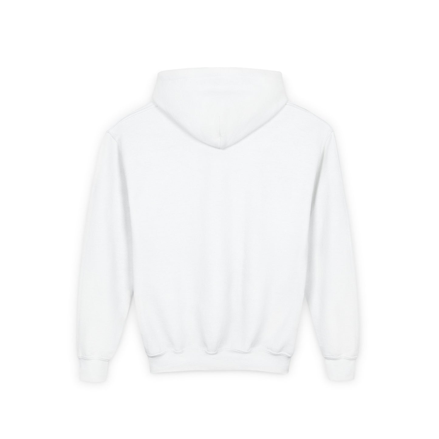 Youth Hoodie Sweatshirt \ Hackleburg Panthers Band \ HPB2