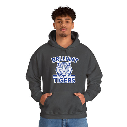 Adult Hoodie Sweatshirt \ Brilliant Tigers \ BT1