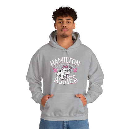 Adult Hoodie Sweatshirt \ Hamilton Aggies \ HAG4