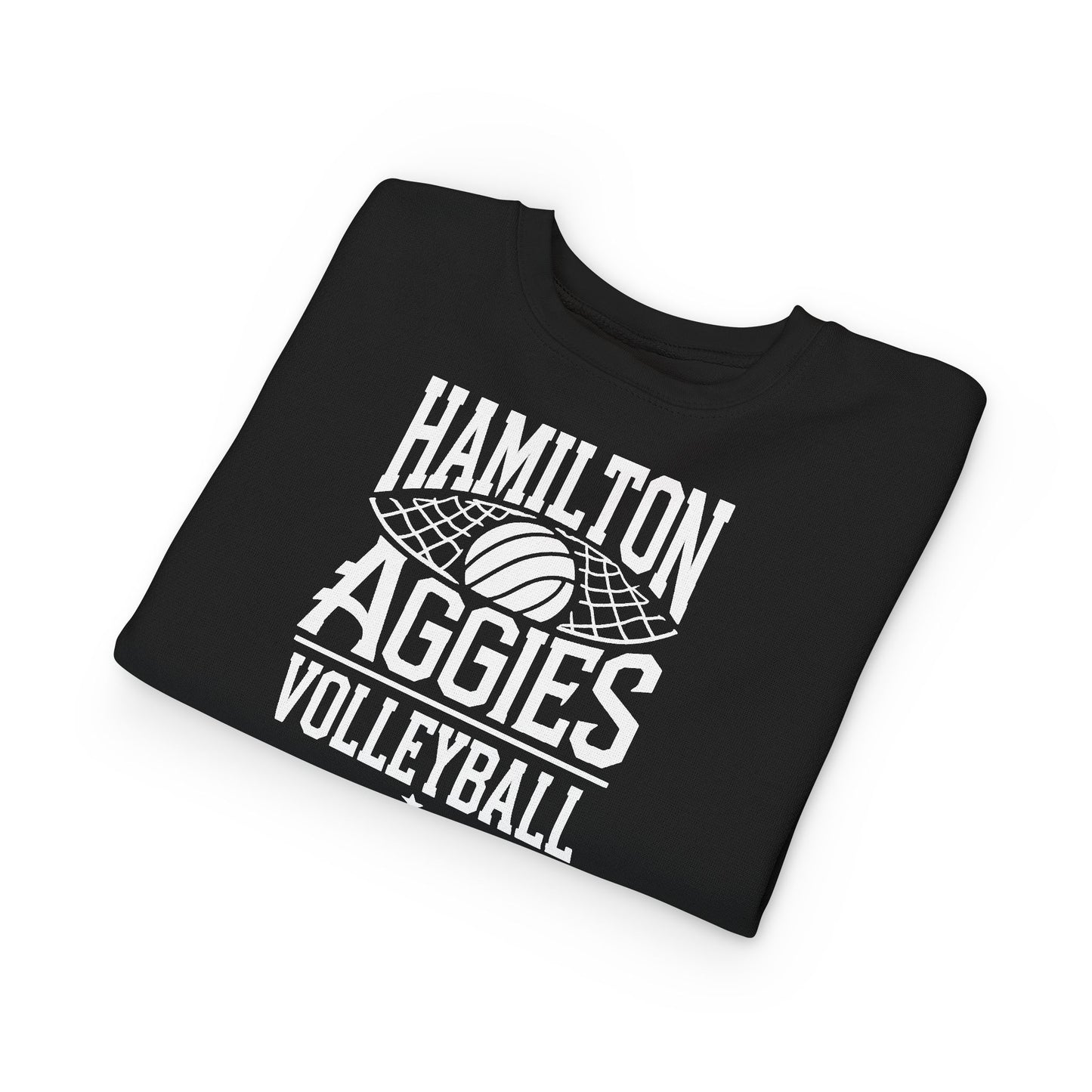Toddler Crewneck Sweatshirt \ Hamilton Aggies Volleyball \ HAV2