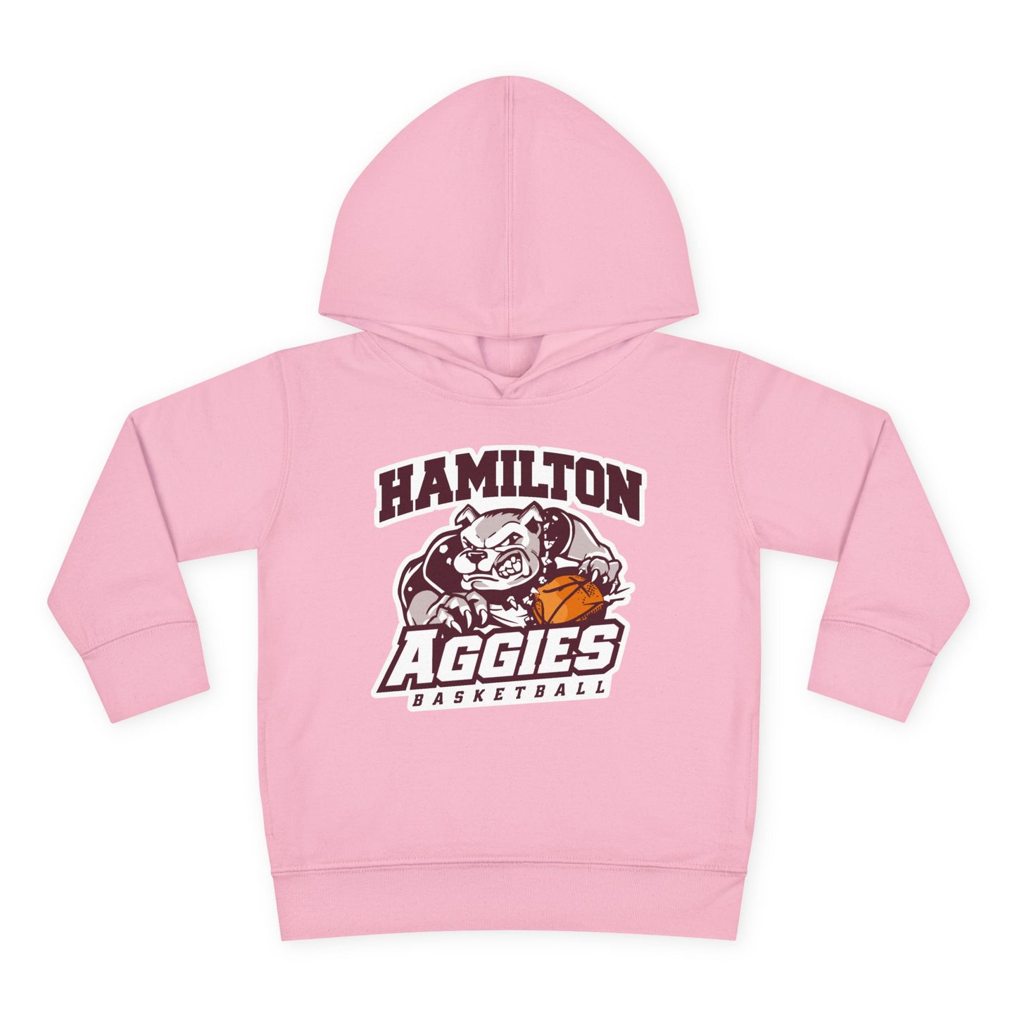Toddler Hoodie Sweatshirt \ Hamilton Aggies Basketball \ HABB1