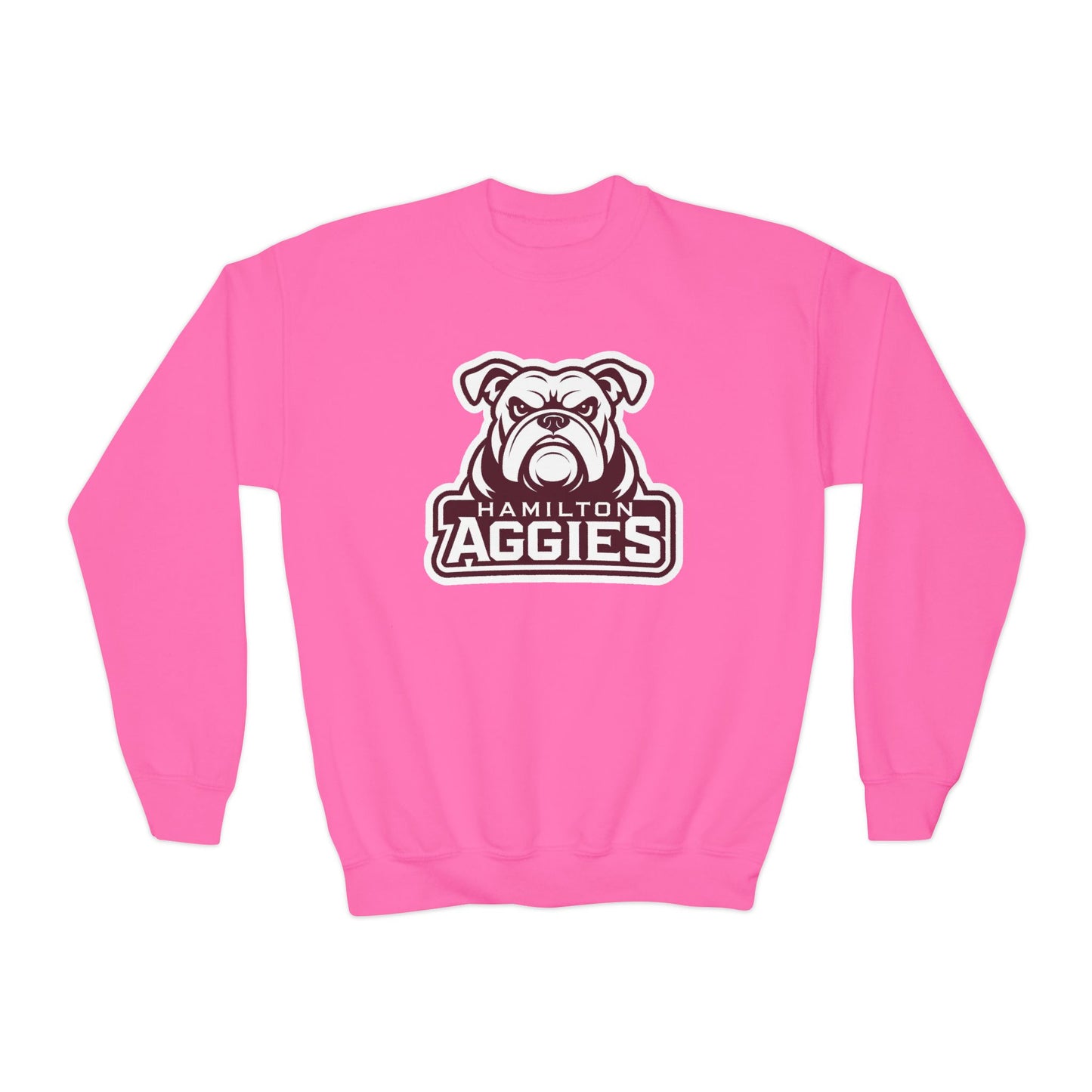 Youth Crewneck Sweatshirt \ Hamilton Aggies \ HA4