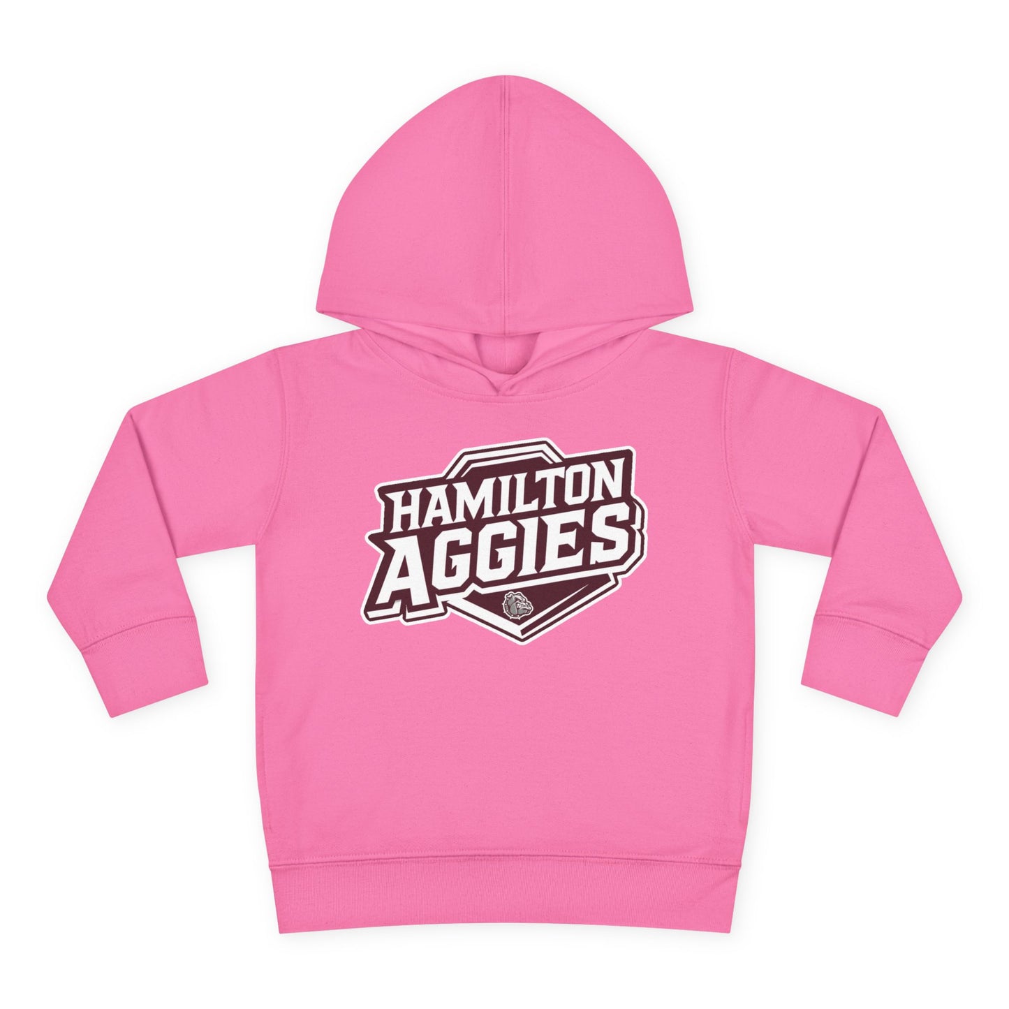 Toddler Hoodie Sweatshirt \ Hamilton Aggies \ HA1