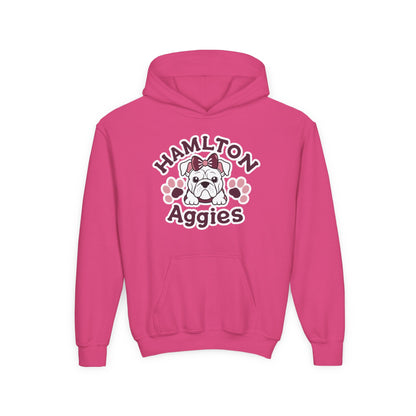 Youth Hoodie Sweatshirt \ Hamilton Aggies \ HAG3