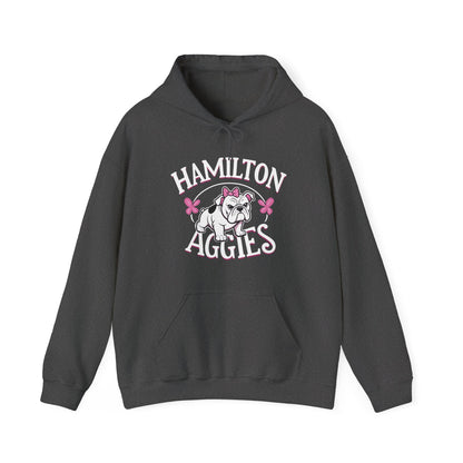 Adult Hoodie Sweatshirt \ Hamilton Aggies \ HAG4