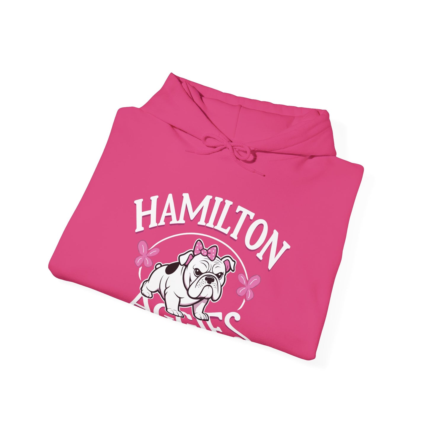 Adult Hoodie Sweatshirt \ Hamilton Aggies \ HAG4