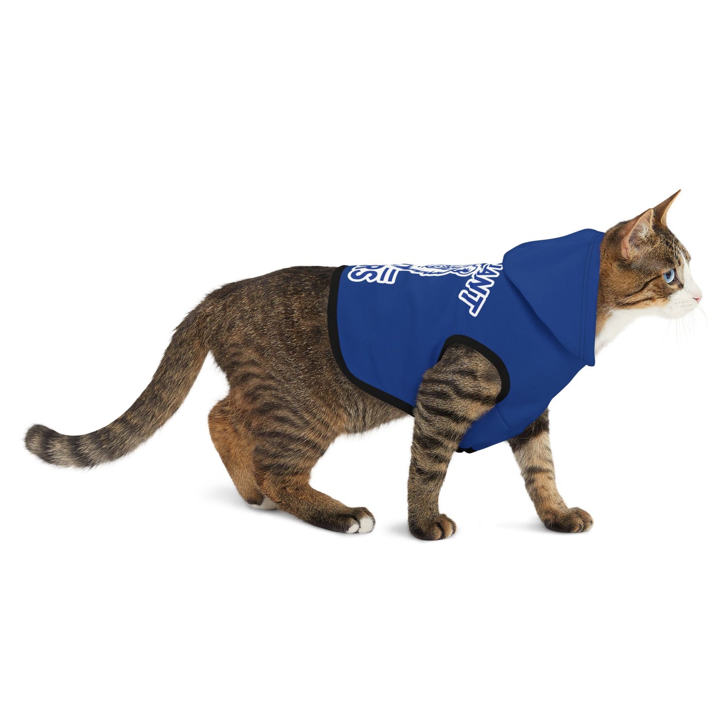 Pet Hoodie \ Brilliant Tigers \ BT1