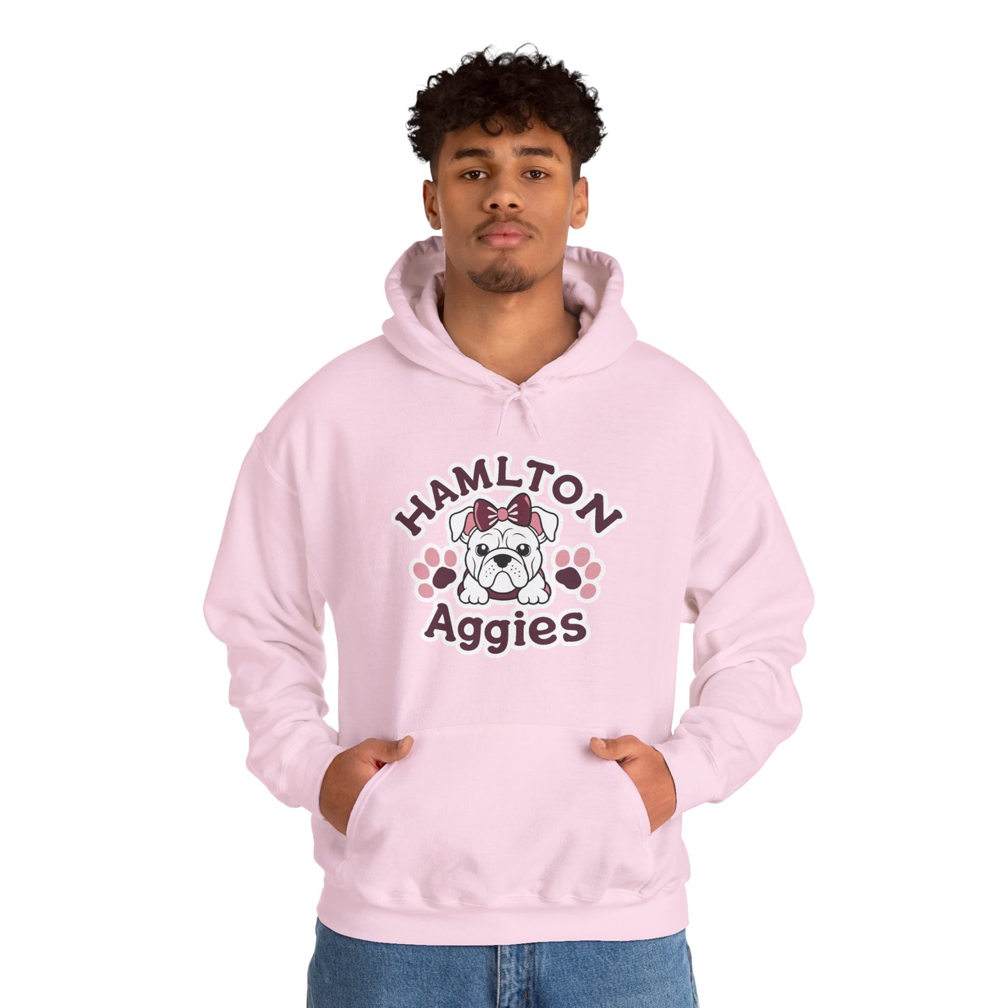 Adult Hoodie Sweatshirt \ Hamilton Aggies \ HAG3