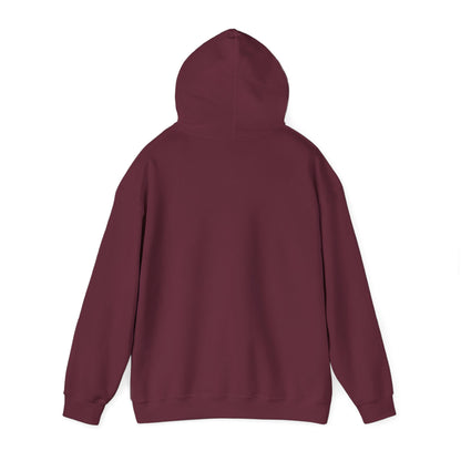 Adult Hoodie Sweatshirt \ Hamilton Aggies Volleyball \ HAV1