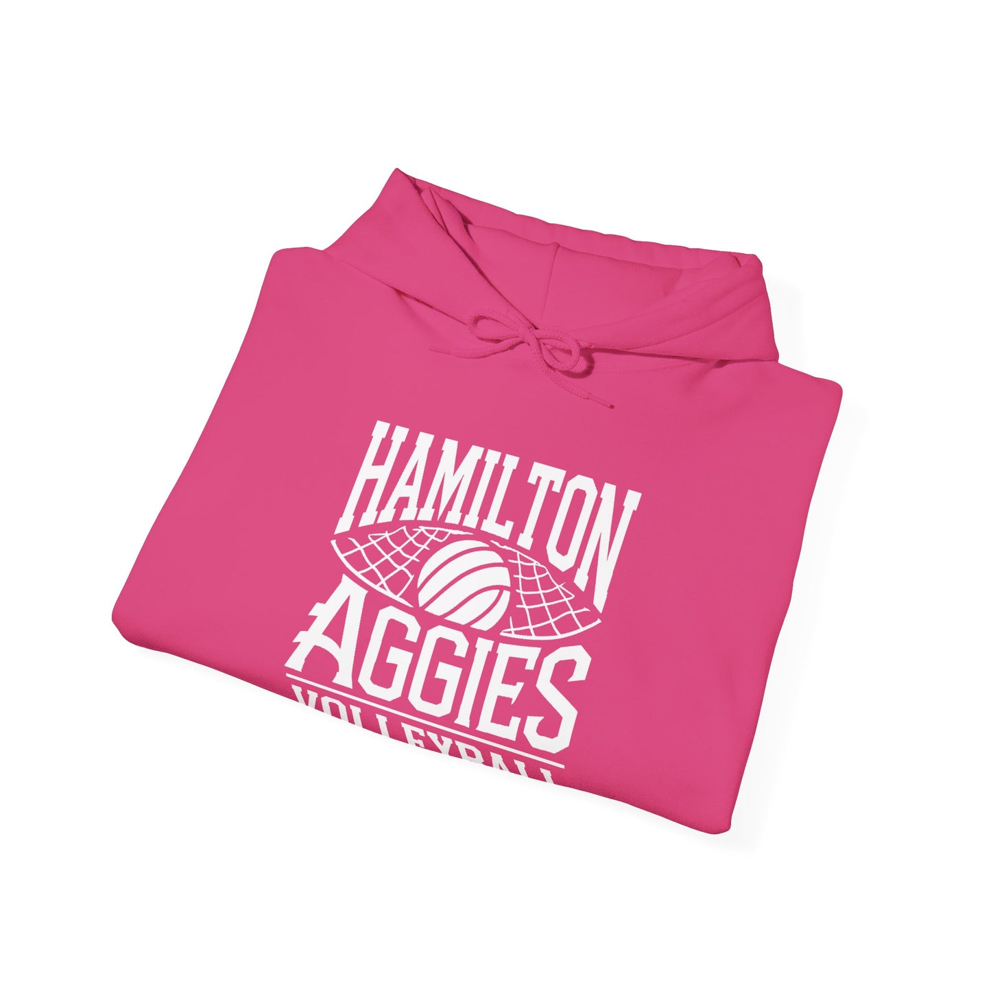 Adult Hoodie Sweatshirt \ Hamilton Aggies Volleyball \ HAV2