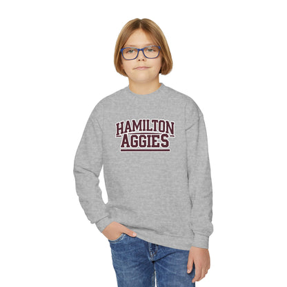 Youth Crewneck Sweatshirt \ Hamilton Aggies \ HA2
