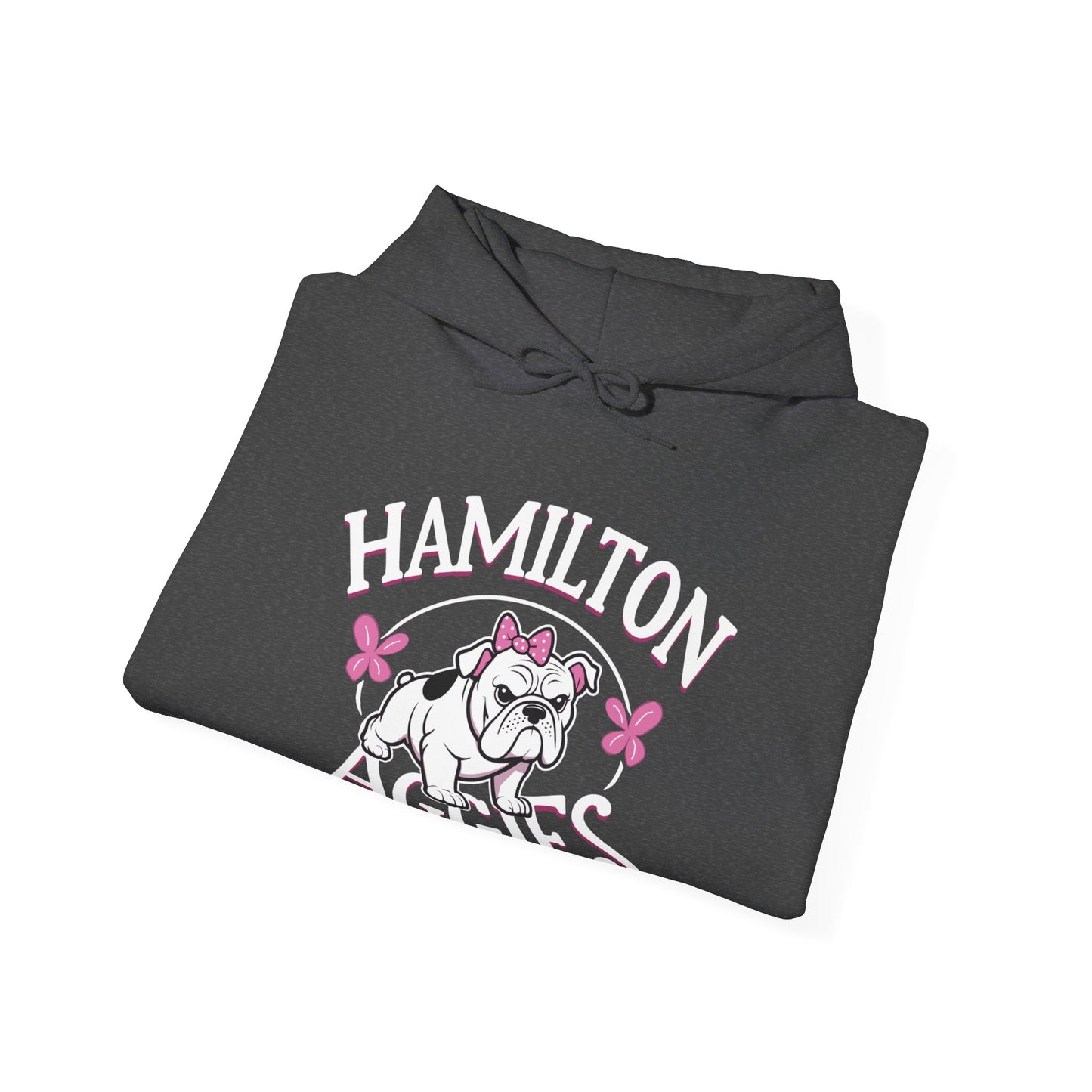 Adult Hoodie Sweatshirt \ Hamilton Aggies \ HAG4